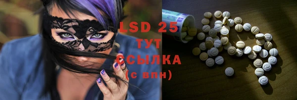 spice Аркадак