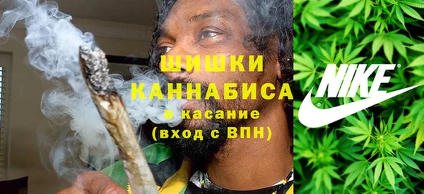 spice Аркадак